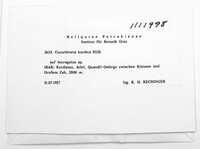 Image Associated With the Occurence